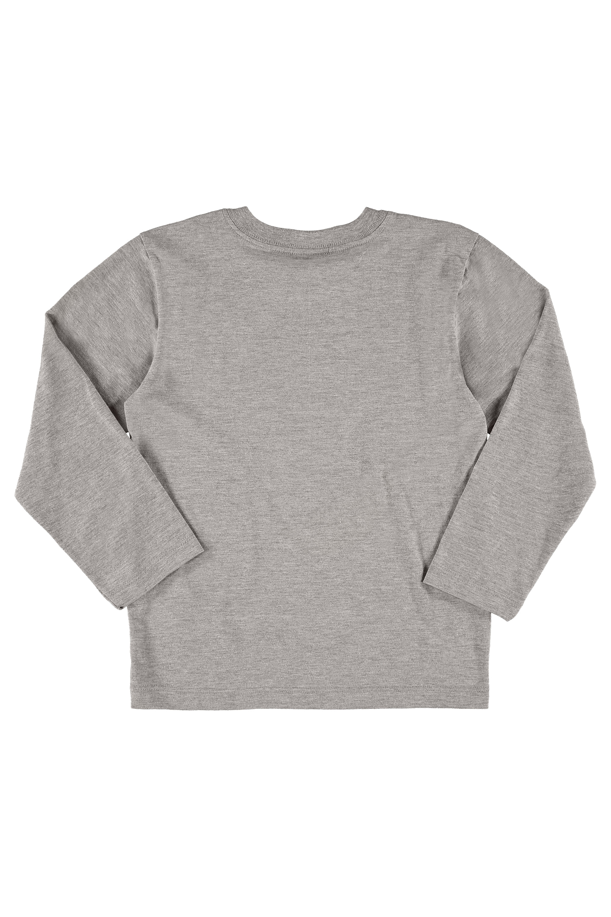 Camiseta Infantil Dino Menino (Cinza) Quimby - Imagem 3