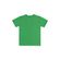 Conjunto-Infantil-Menino-Bermuda-e-Camiseta--Verde--Bee-Loop