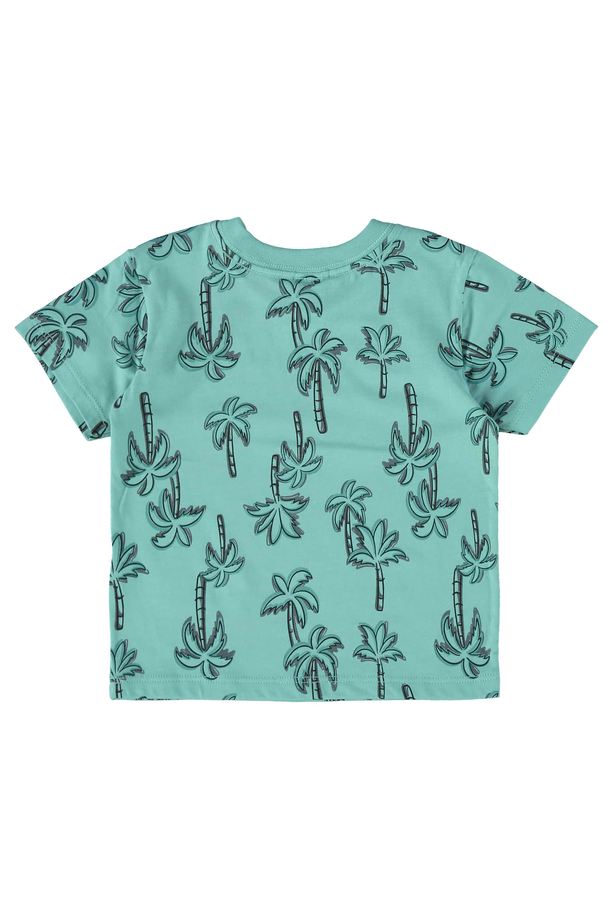 Conjunto com Camiseta e Bermuda para Bebê Menino (Verde) Guloseima - Imagem 29