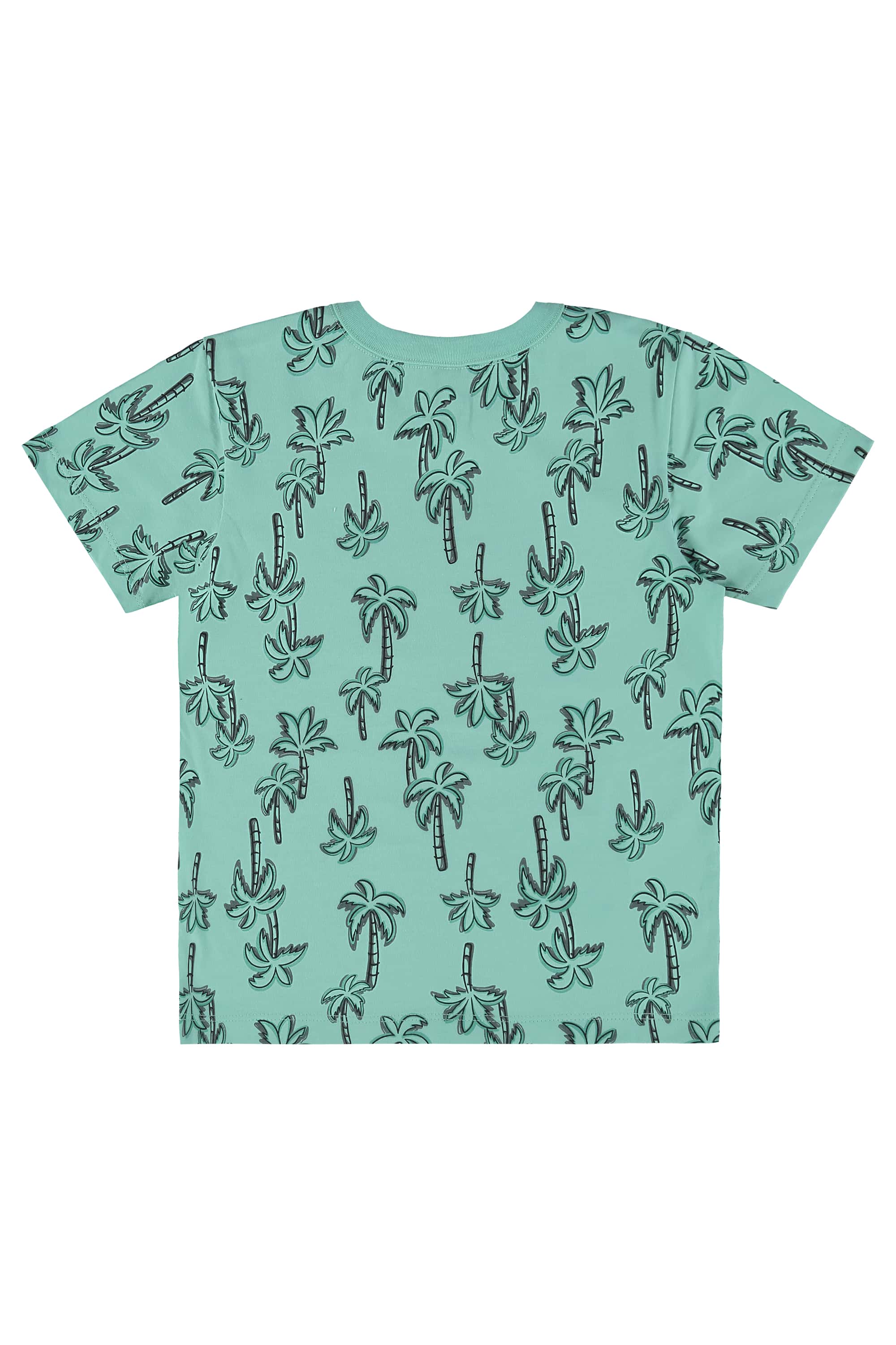Conjunto com Camiseta e Bermuda para Menino (Verde) Bee Loop - Imagem 13