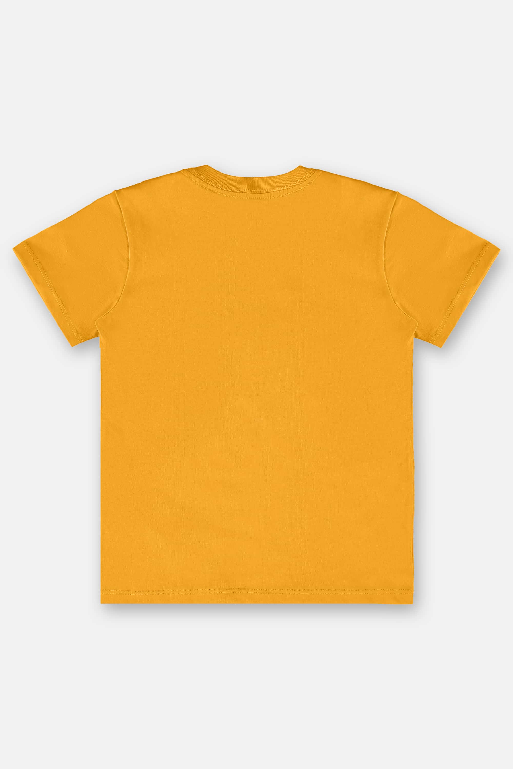 Camiseta Infantil para Menino em Meia Malha (Amarelo) Up Baby - Imagem 16