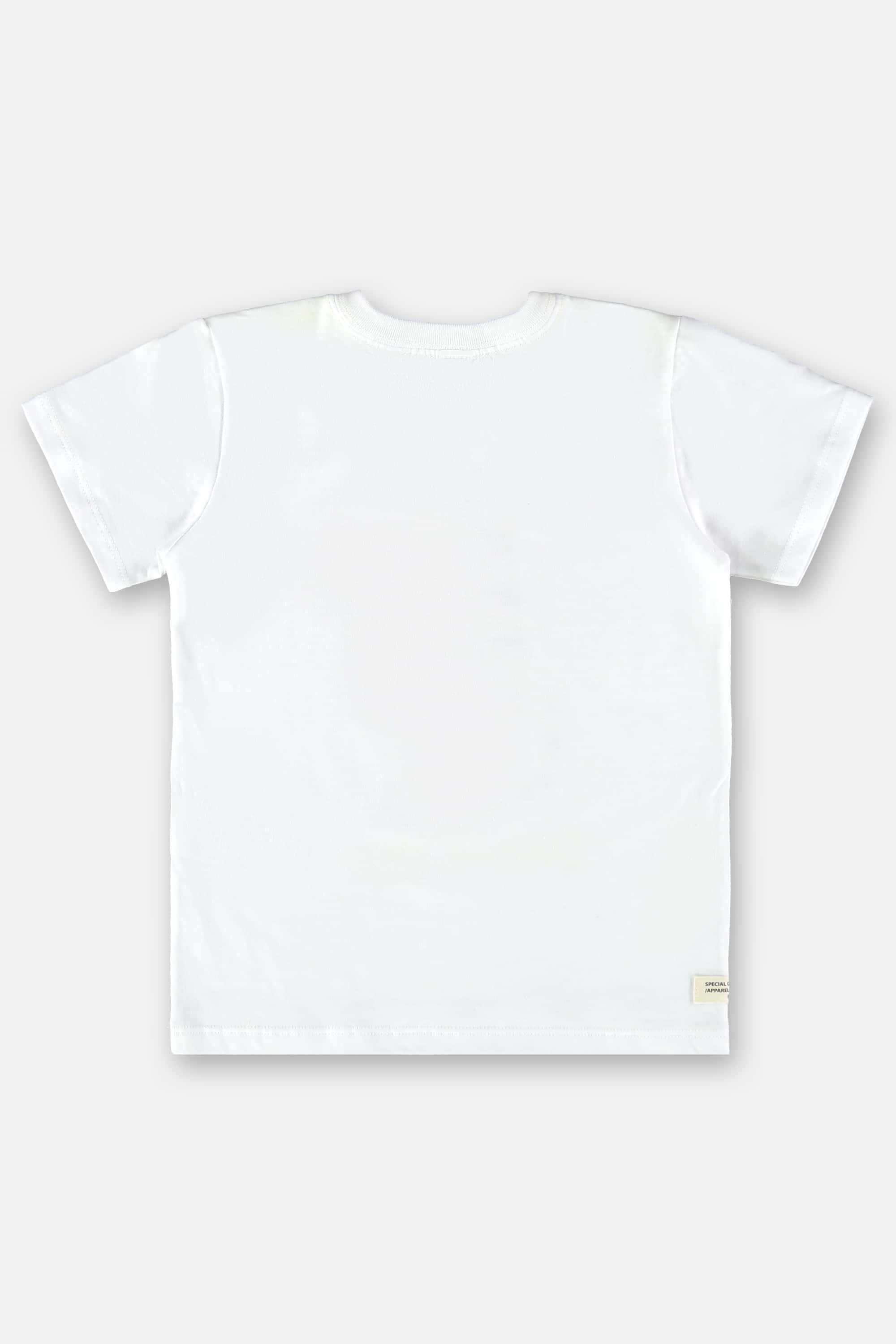 Camiseta Infantil para Menino em Meia Malha (Branco) Up Baby - Imagem 15