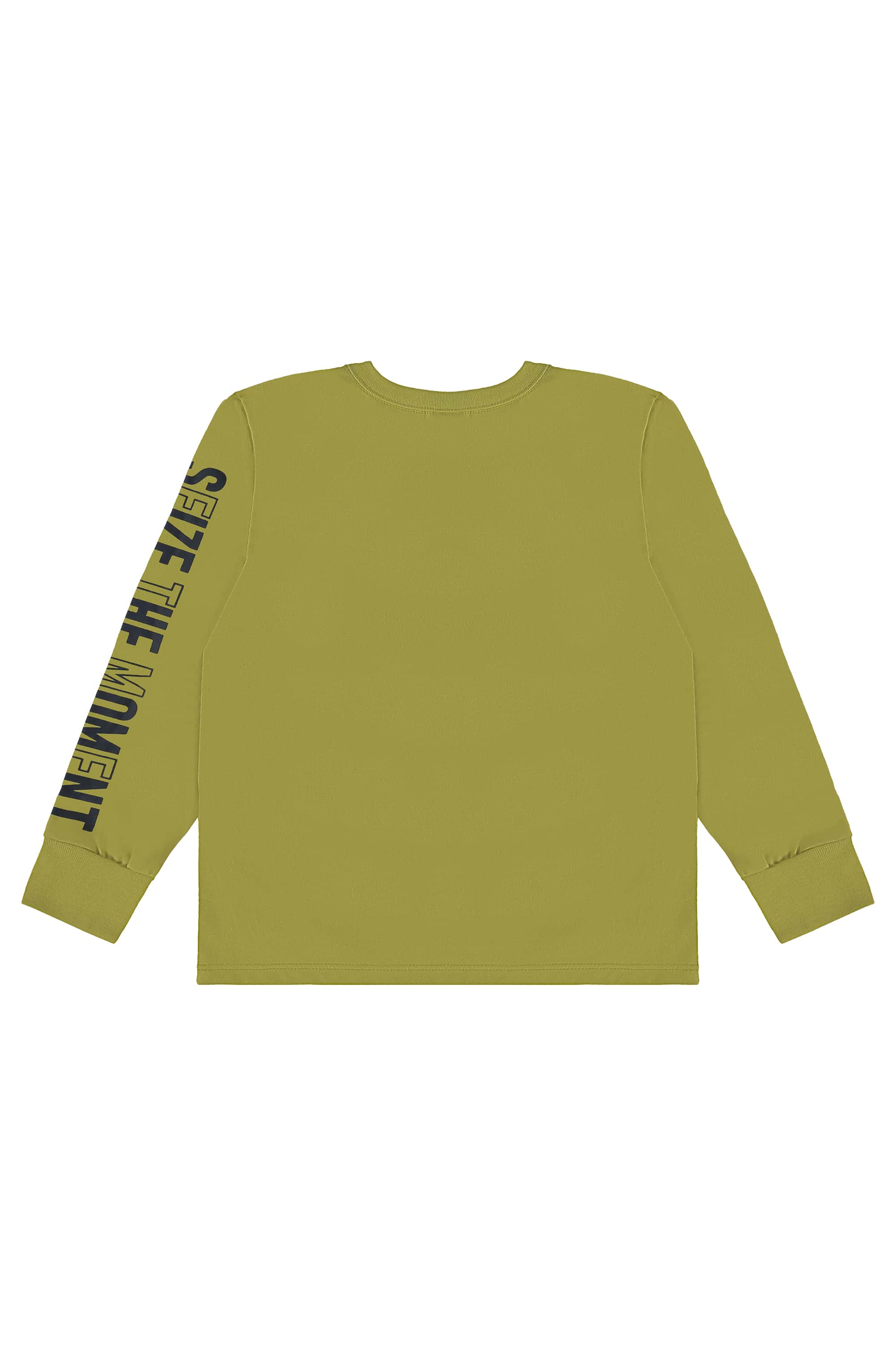 Conjunto Infantil com Camiseta e Calça para Menino (Verde) Bee Loop - Imagem 34