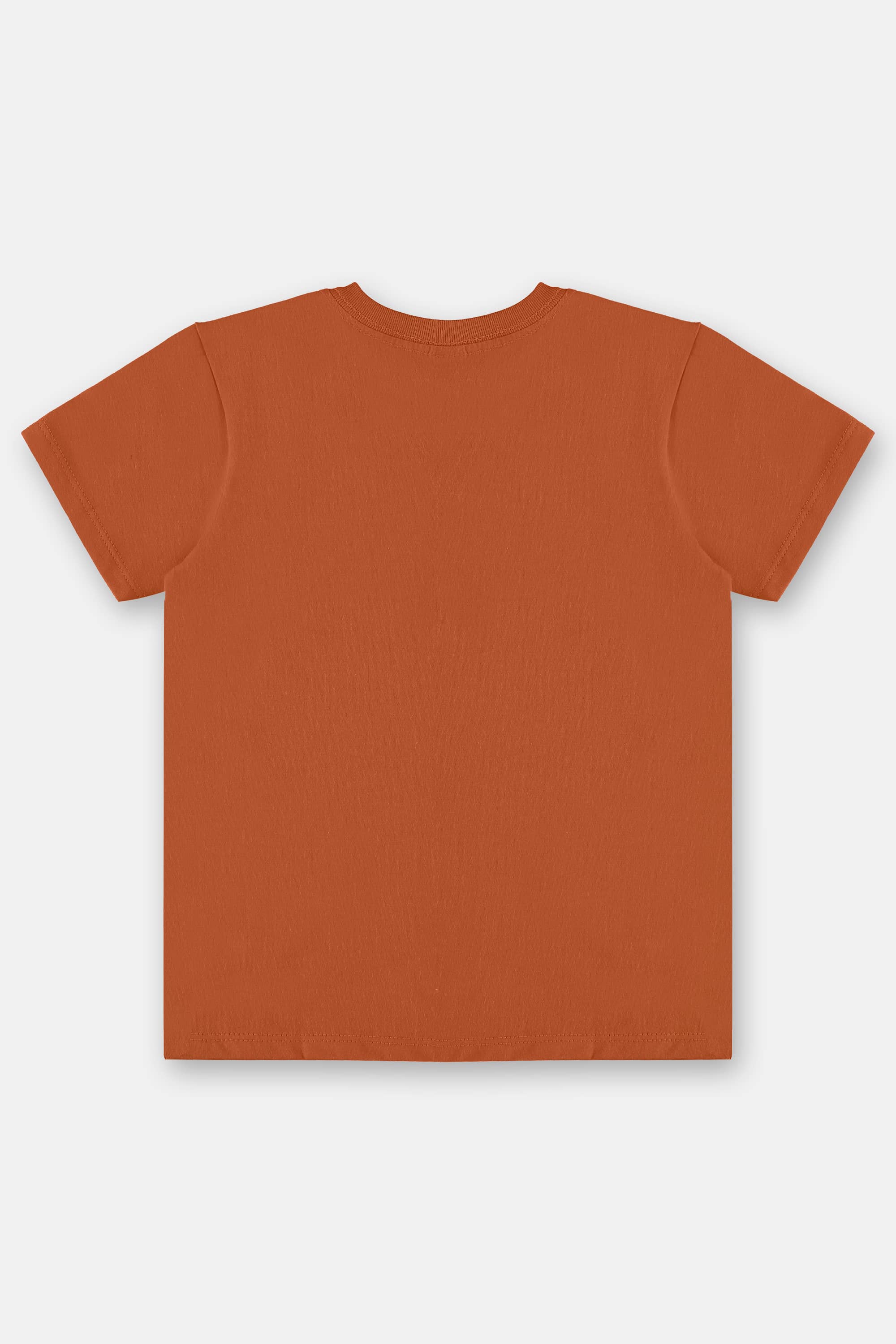 Camiseta Infantil Masculino em Meia Malha (Laranja) Up Baby - Imagem 4