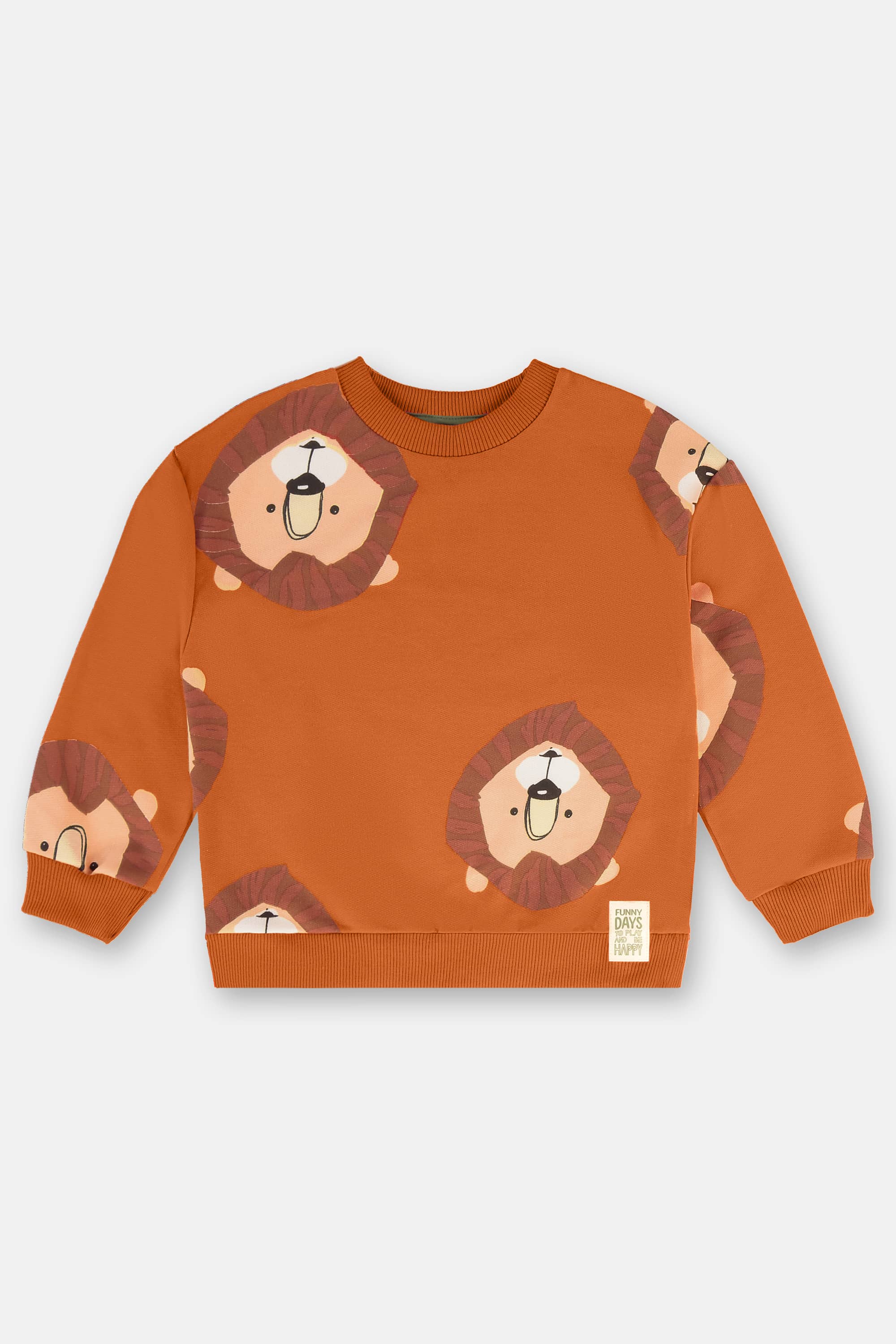 Conjunto Infantil Masculino em Moletom Sem Felpa (Laranja) Up Baby - Imagem 31