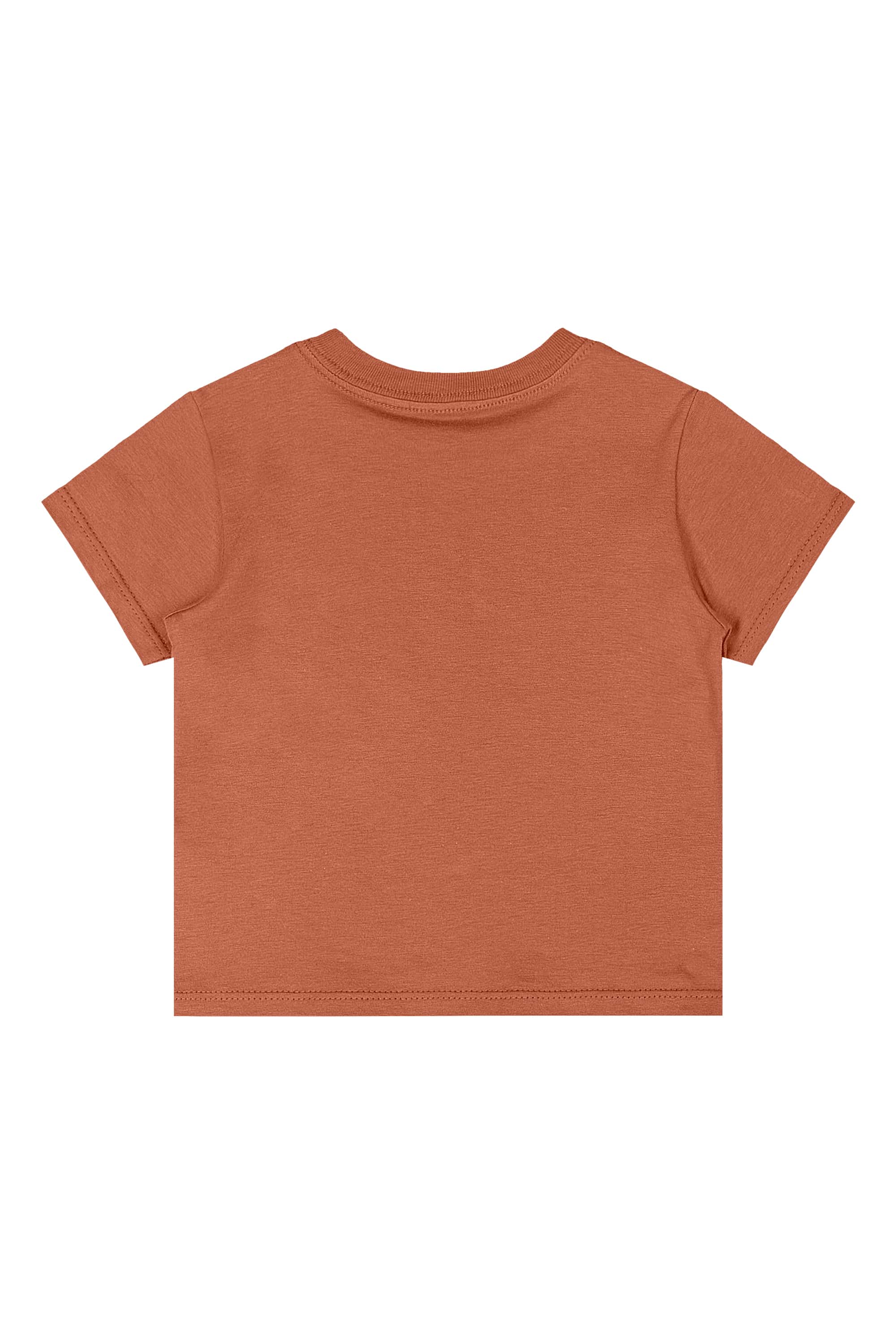 Conjunto Dinos para Bebê Menino (Marrom) Quimby - Imagem 17