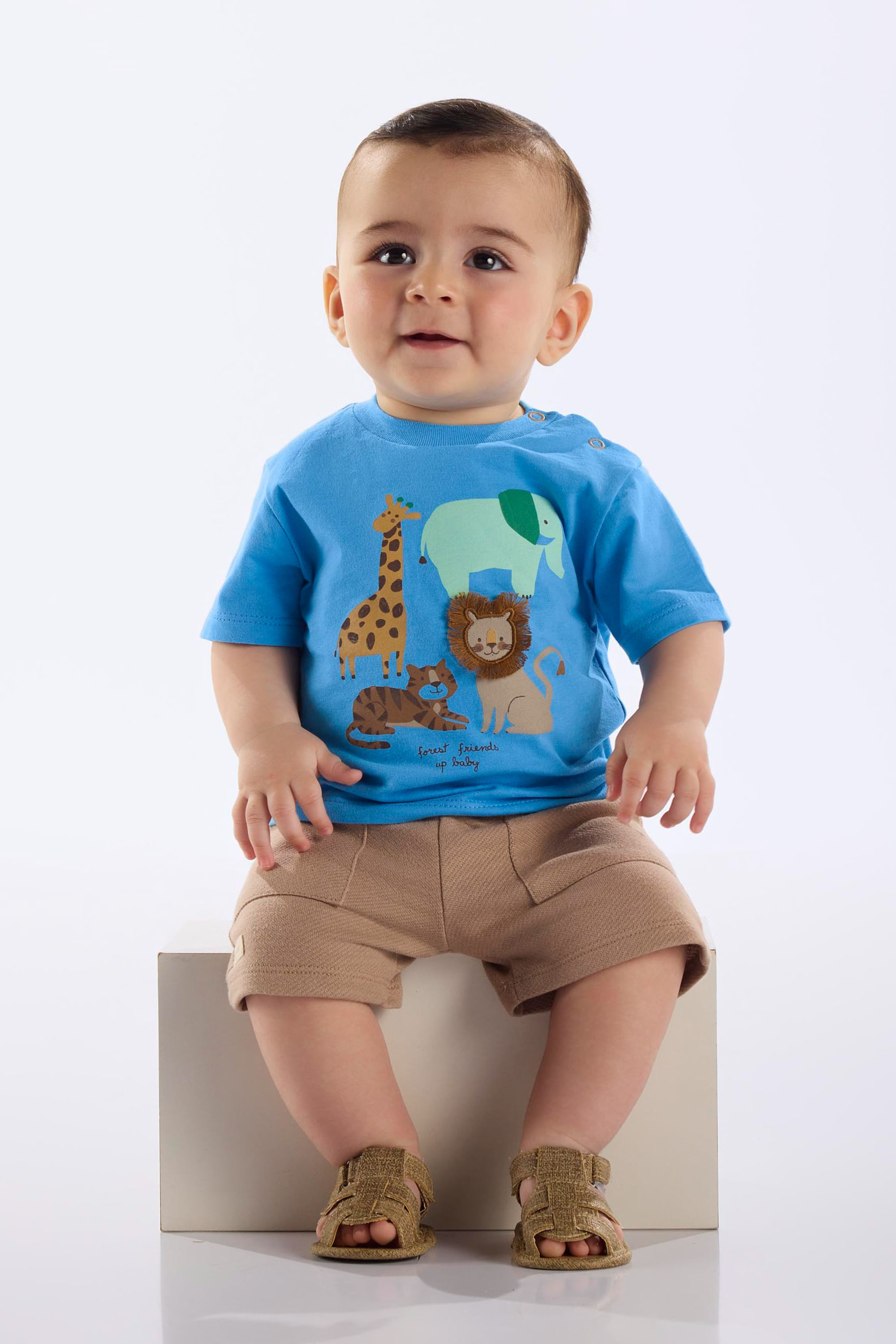 Conjunto com Camiseta Bichinhos e Bermuda para Bebê Menino (Azul) Up Baby