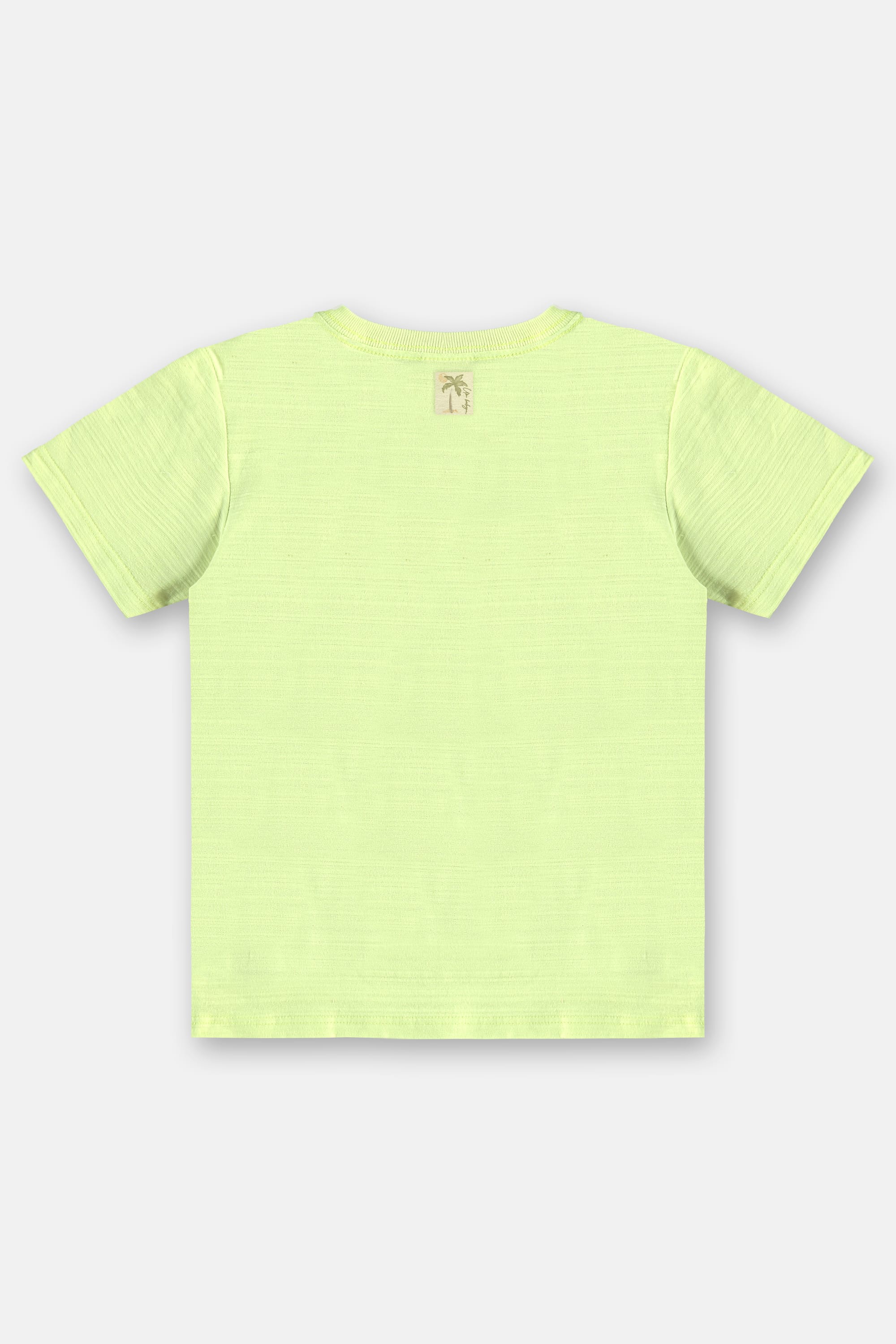 Camiseta em Algodão Flamê Infantil Masculina (Verde Limão) Up Baby - Imagem 9
