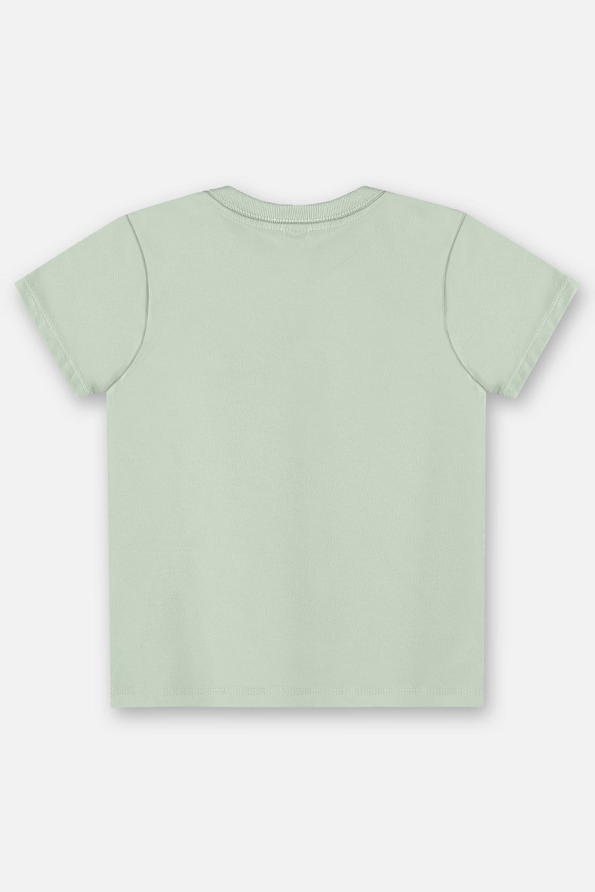 Camiseta Básica em Algodão Infantil Masculina (Verde) Up Baby - Imagem 21